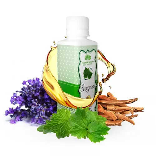 Parfum de rufe Evergreen